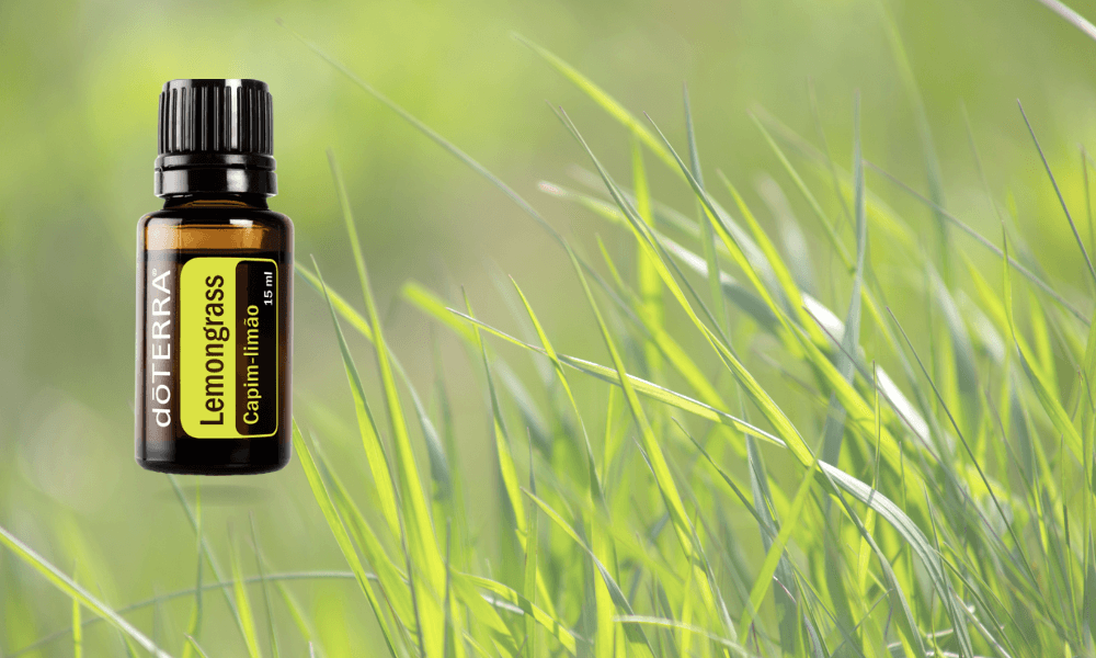 Óleo essencial Lemongrass