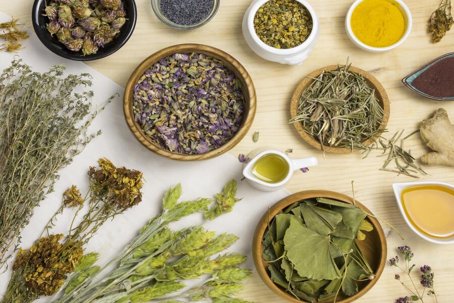 Plantas medicinais
